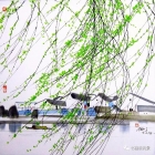 最美小船，有诗有远方