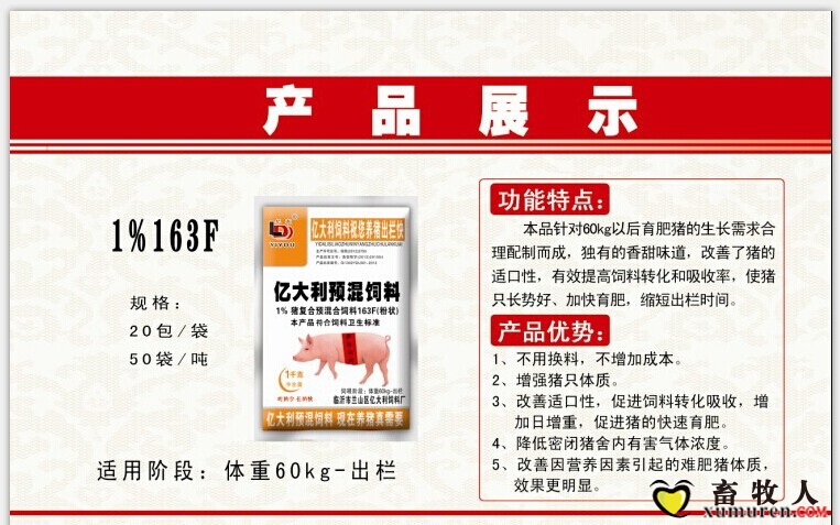 541fcfdfb9b25.jpg