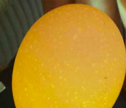 蛋壳质量与微量元素的关系