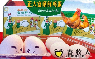 正大鸡蛋.jpg