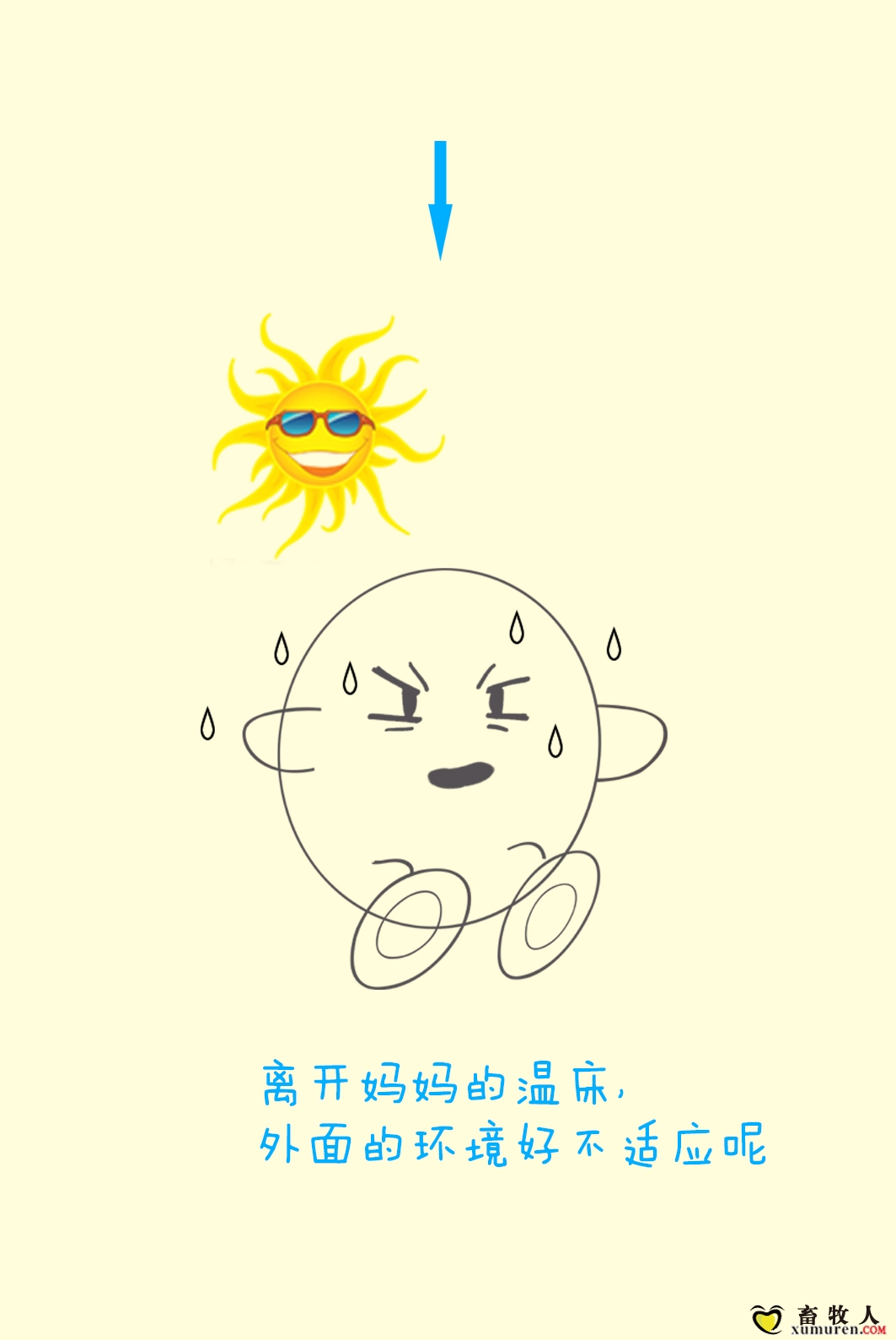 案例2-11 拷贝.jpg