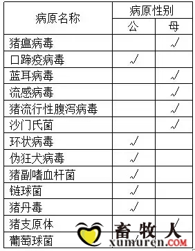疾病公母.jpg