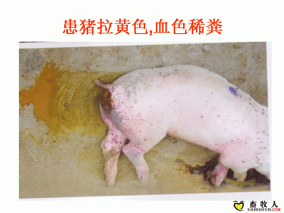 幻灯片5.GIF