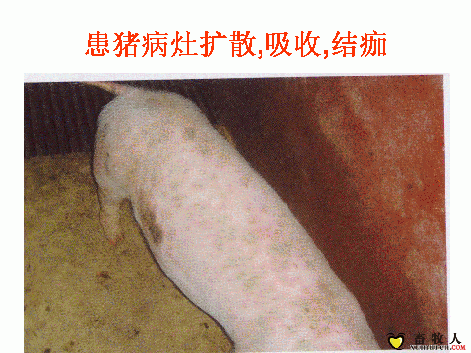 幻灯片8.GIF