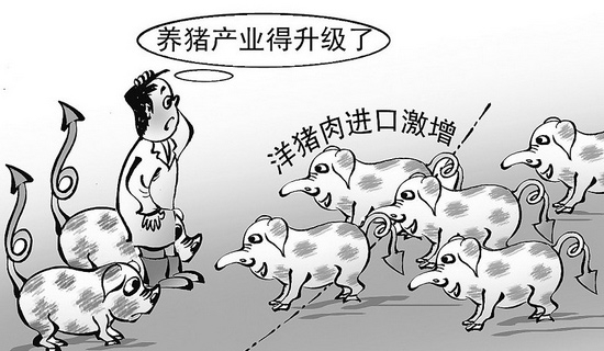 中国：三分之二的进口猪肉仍来自欧盟