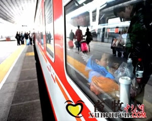 图一300.jpg