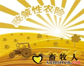 农险.jpg