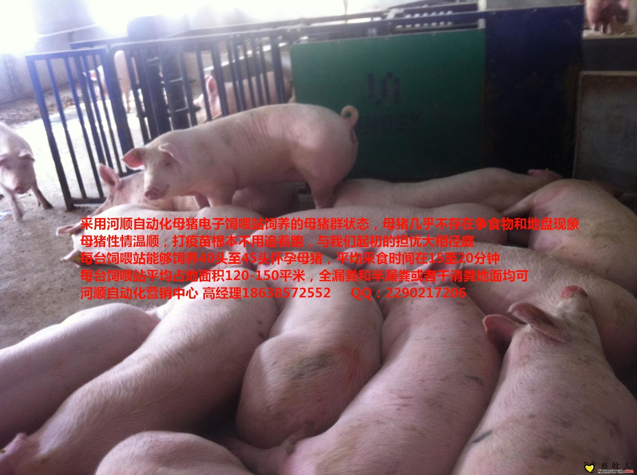 QQ图片20150303212246.jpg