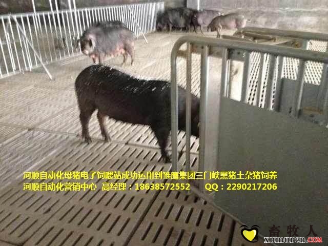 QQ图片20150303212311.jpg