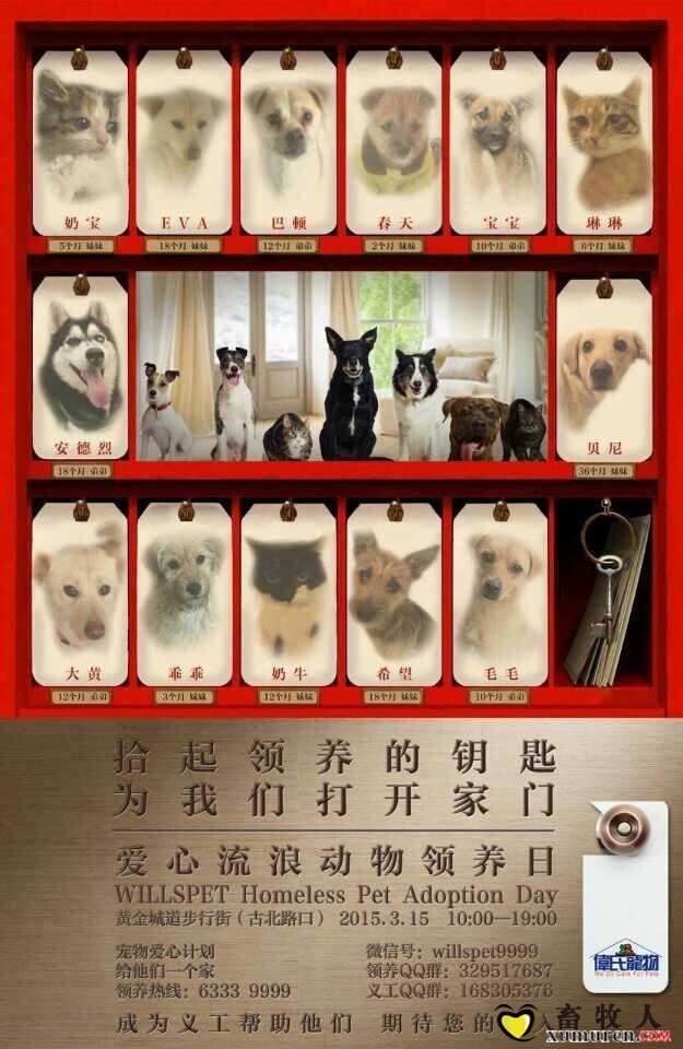 QQ图片20150303092706.jpg