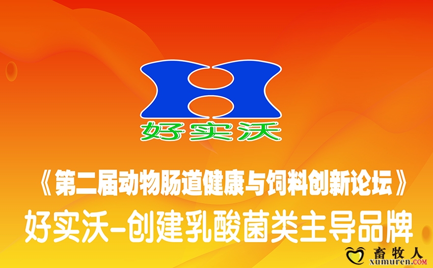 南京-01.jpg