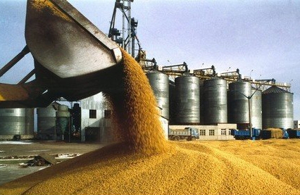 中国大量进口乌克兰玉米 美国玉米受冷落