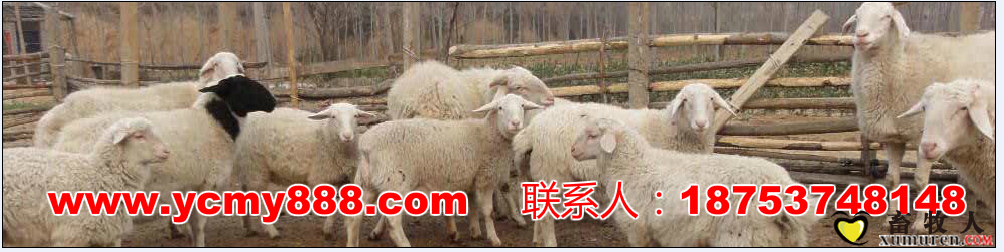 QQ图片20150321115844.png