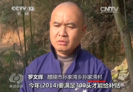 央视再曝补贴黑幕：咱养猪人拿补贴咋那么难？