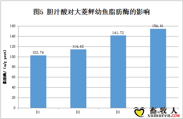 图5555.png