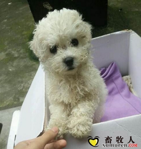 QQ截图20150409083708.jpg