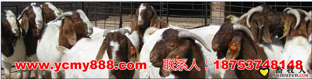 QQ图片20150414095822.png