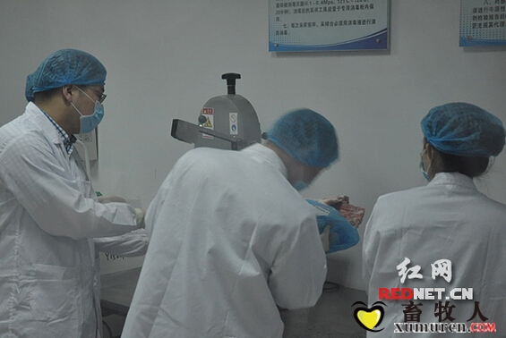 龙2.jpg