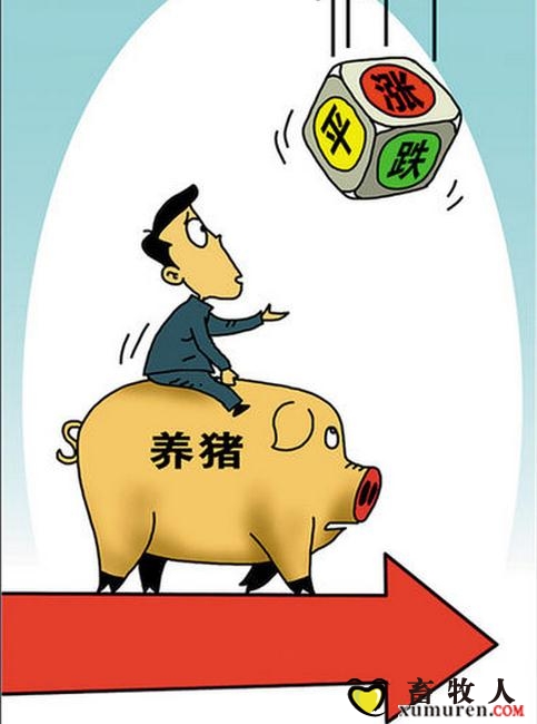 养猪.jpg