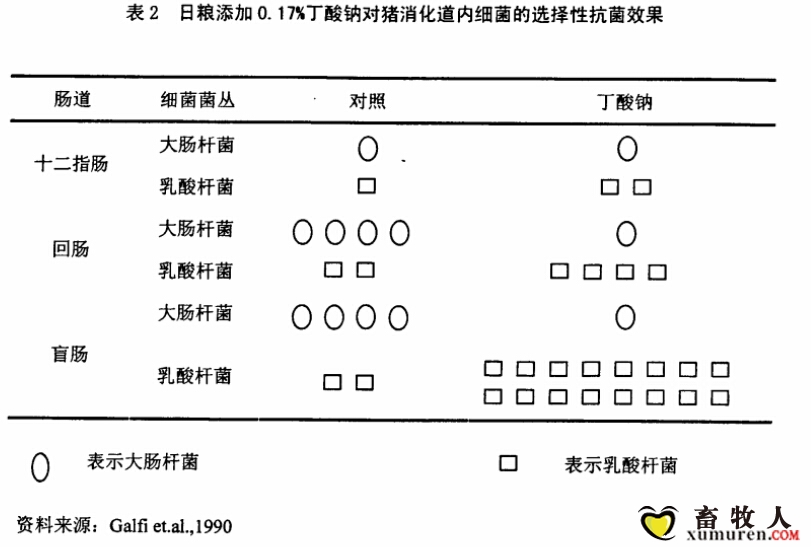 国外文献对丁酸钠添加于猪料中菌群变化.jpg