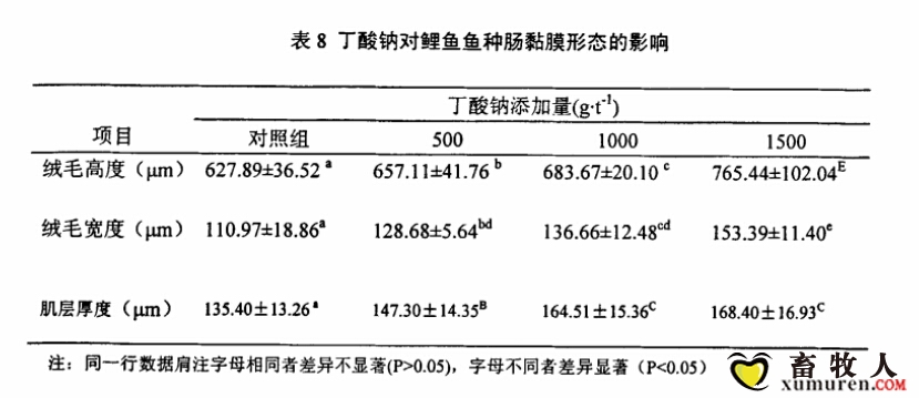 丁钠对鲤鱼肠黏膜影响.jpg