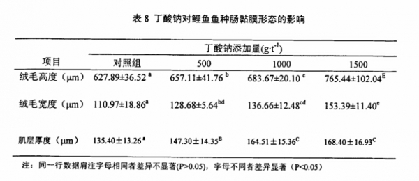 丁钠对鲤鱼肠黏膜影响.jpg