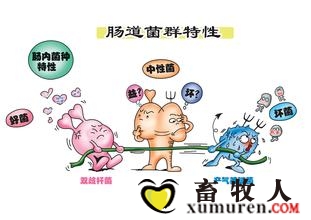 u=1433736596,1526864756&fm=21&gp=0.jpg