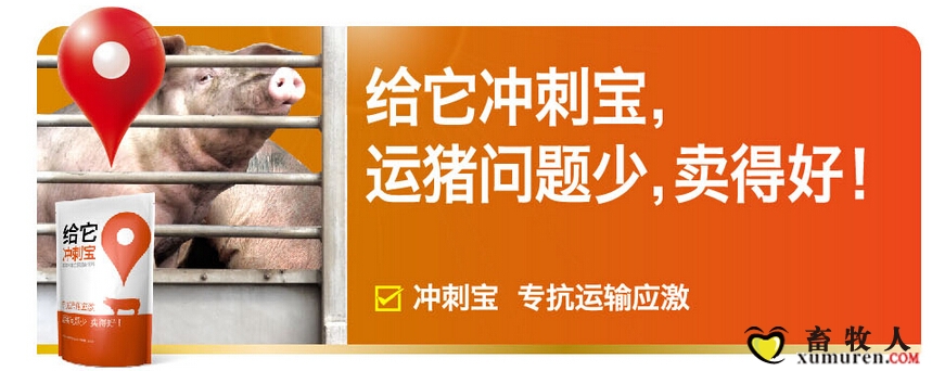问题少.jpg