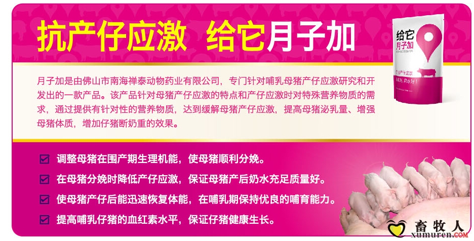 产仔应激.jpg