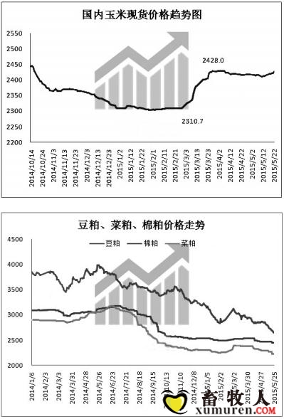 玉米.jpg