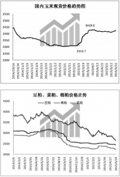 玉米.jpg