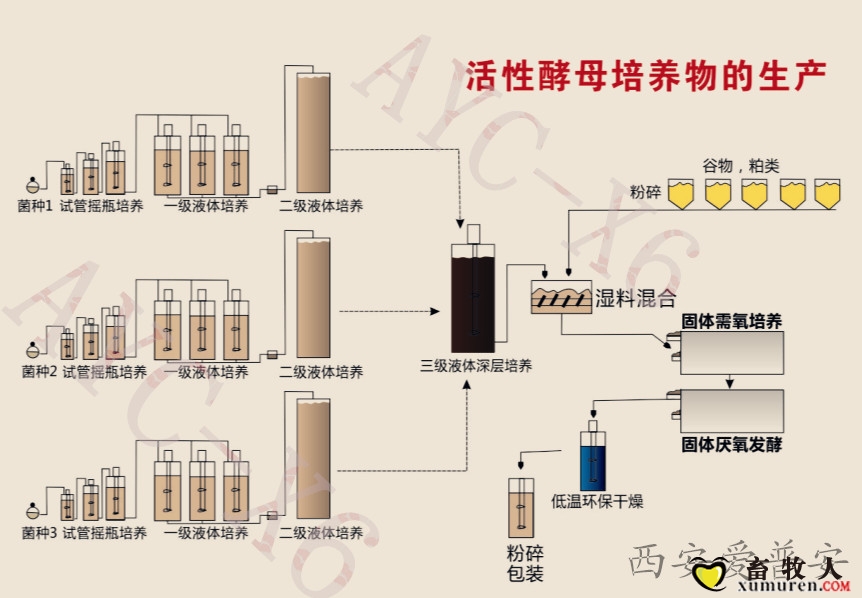 生产工艺图片.jpg