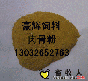 肉骨粉