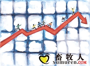 yuanliao_副本.jpg