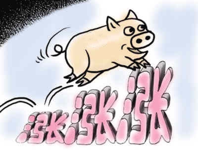 2015猪价无忧 再涨300元？有可能