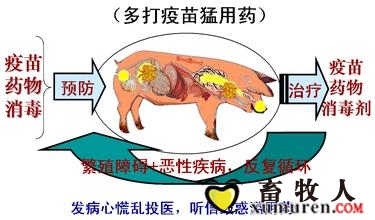 盲目用药.jpg