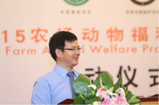 动7.png
