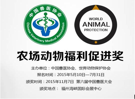 动11.png