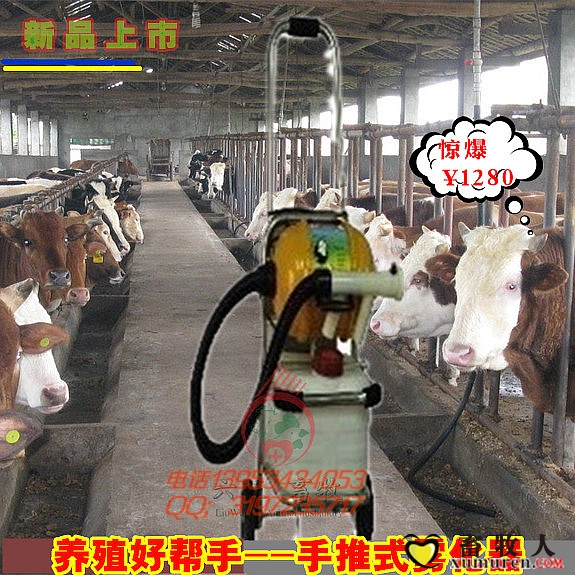 TB1oe97IXXXXXapXXXXXXXXXXXX_!!0-item_pic.jpg