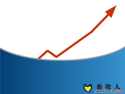 股市涨.jpg