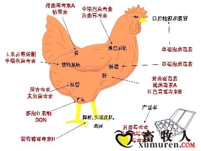 霉菌图素.jpg