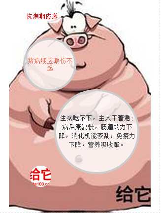 QQ截图20150613110132.jpg