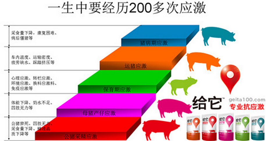 QQ截图20150617135433.jpg