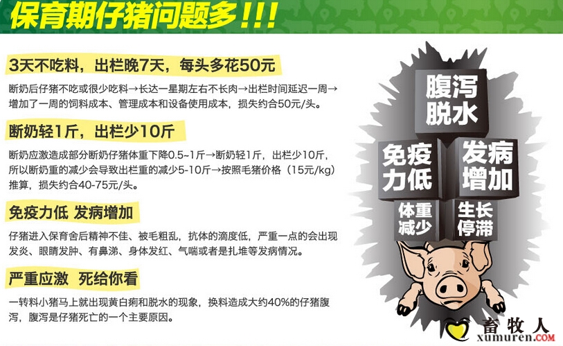 保育问题要解决5.jpg