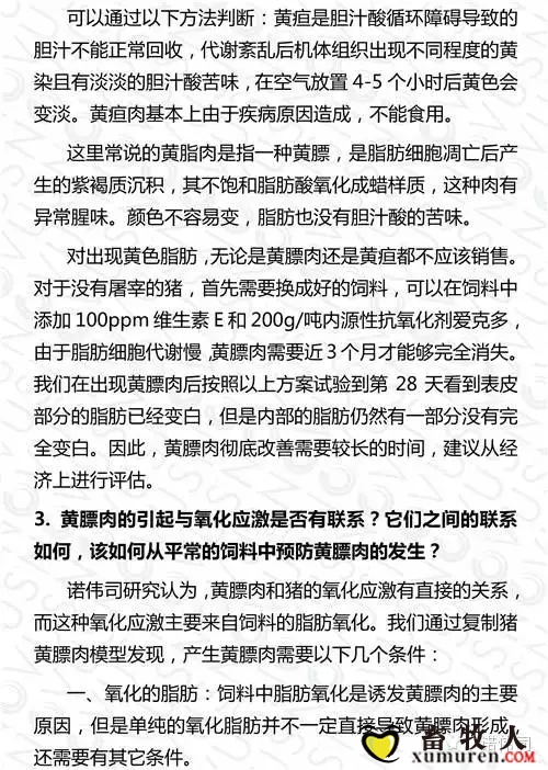 黄2.webp.jpg