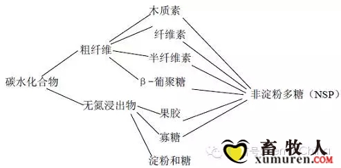 酶制剂.webp.jpg