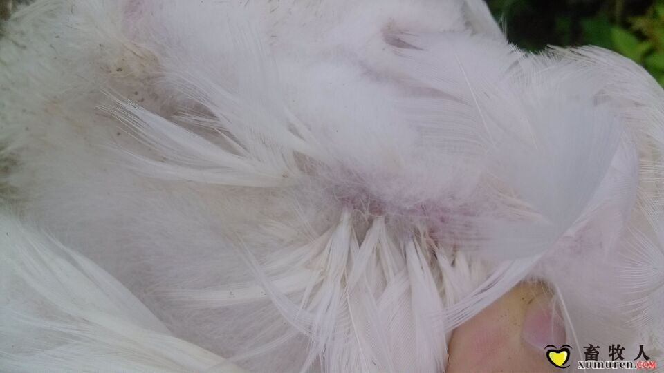 QQ图片20150707170921.jpg