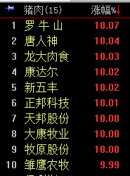 猪肉概念.jpg