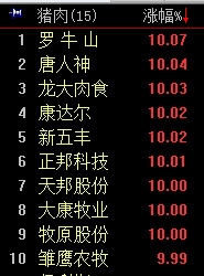 猪肉概念.jpg