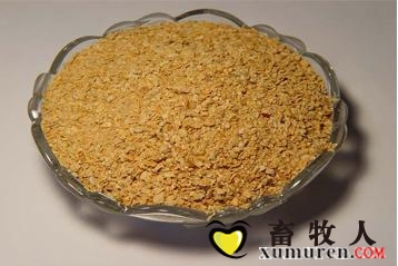豆粕.jpg